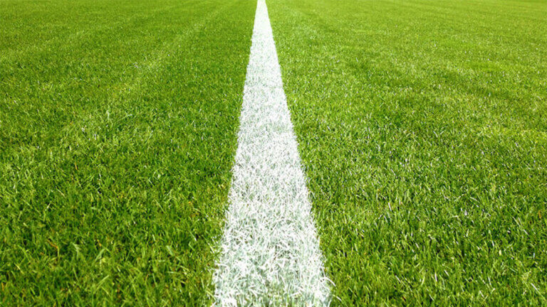 Flüssigkreide im Fokus